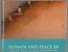 [thumbnail of Description of the book entitle women and peace in the Islamic world gender agency and  influence]